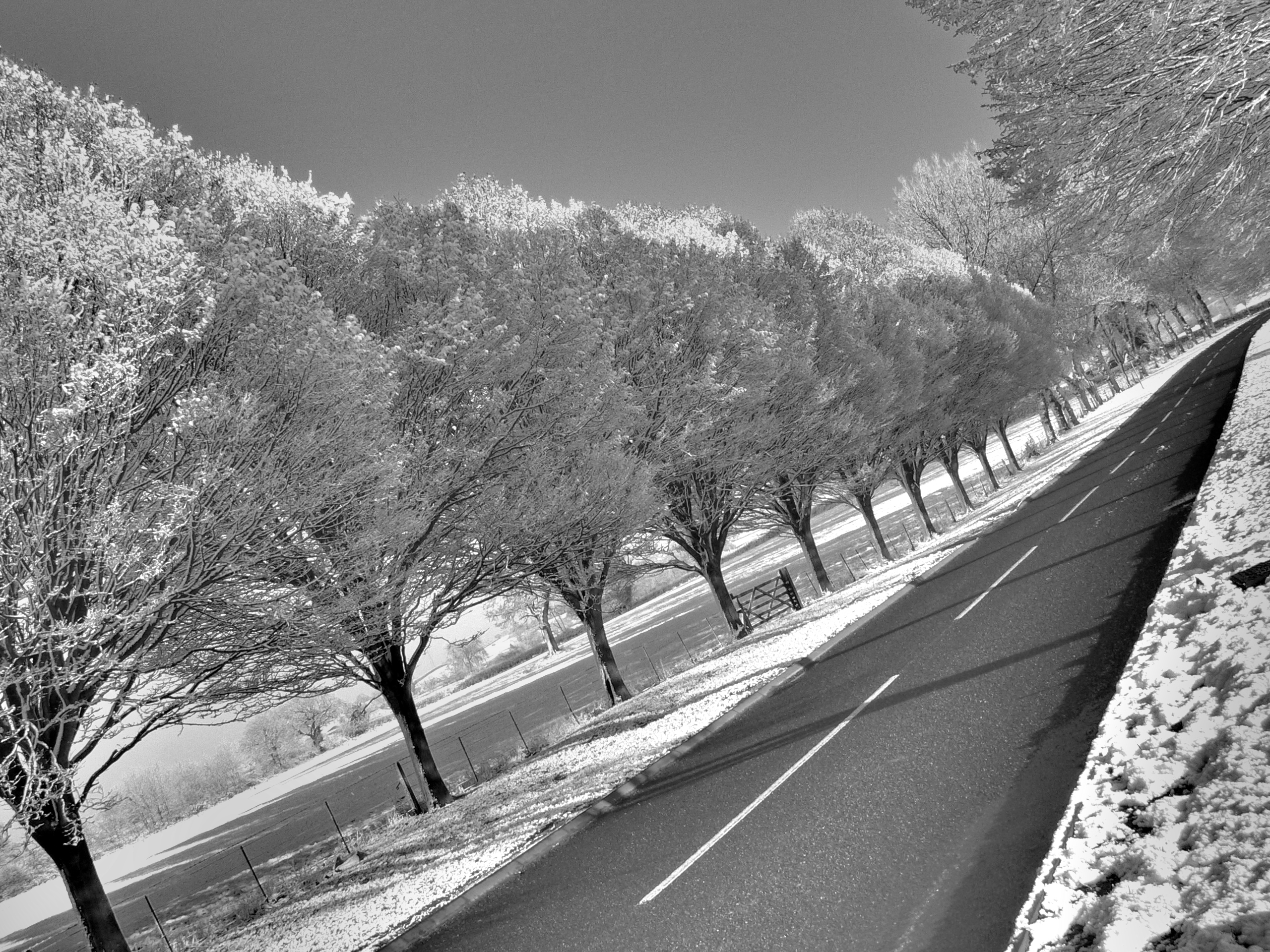 Road to Snowhere